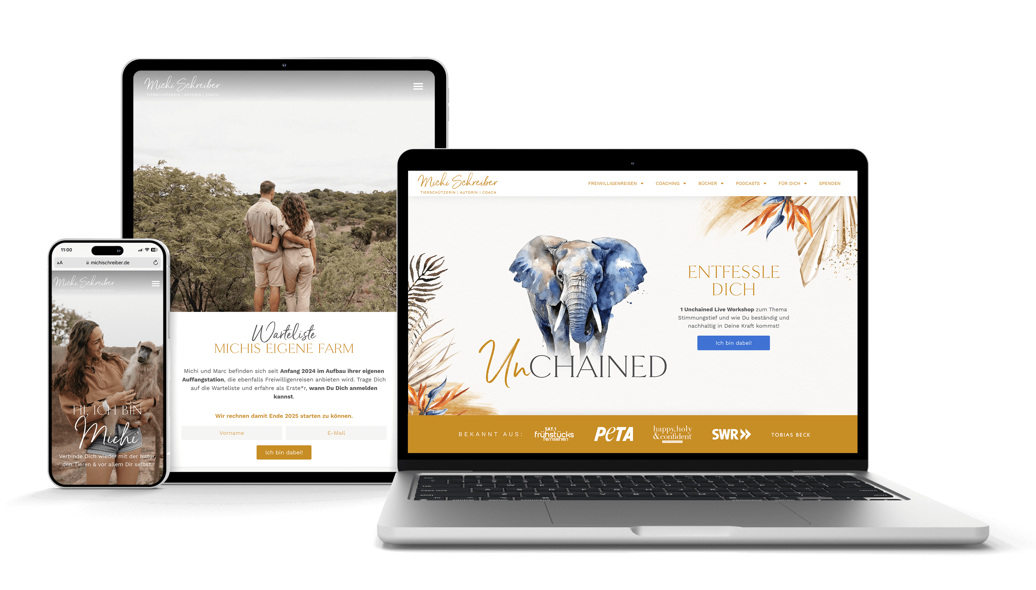 Michi Schreiber Website Mockup